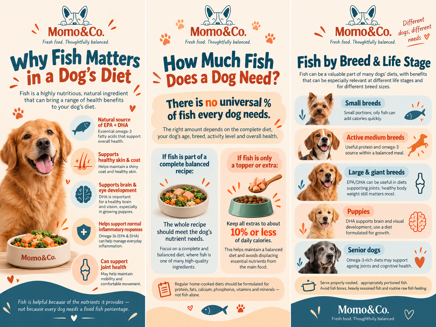 Infographic explaining why fish matters for dogs, how much fish dogs need, and considerations for different breeds and life stages.