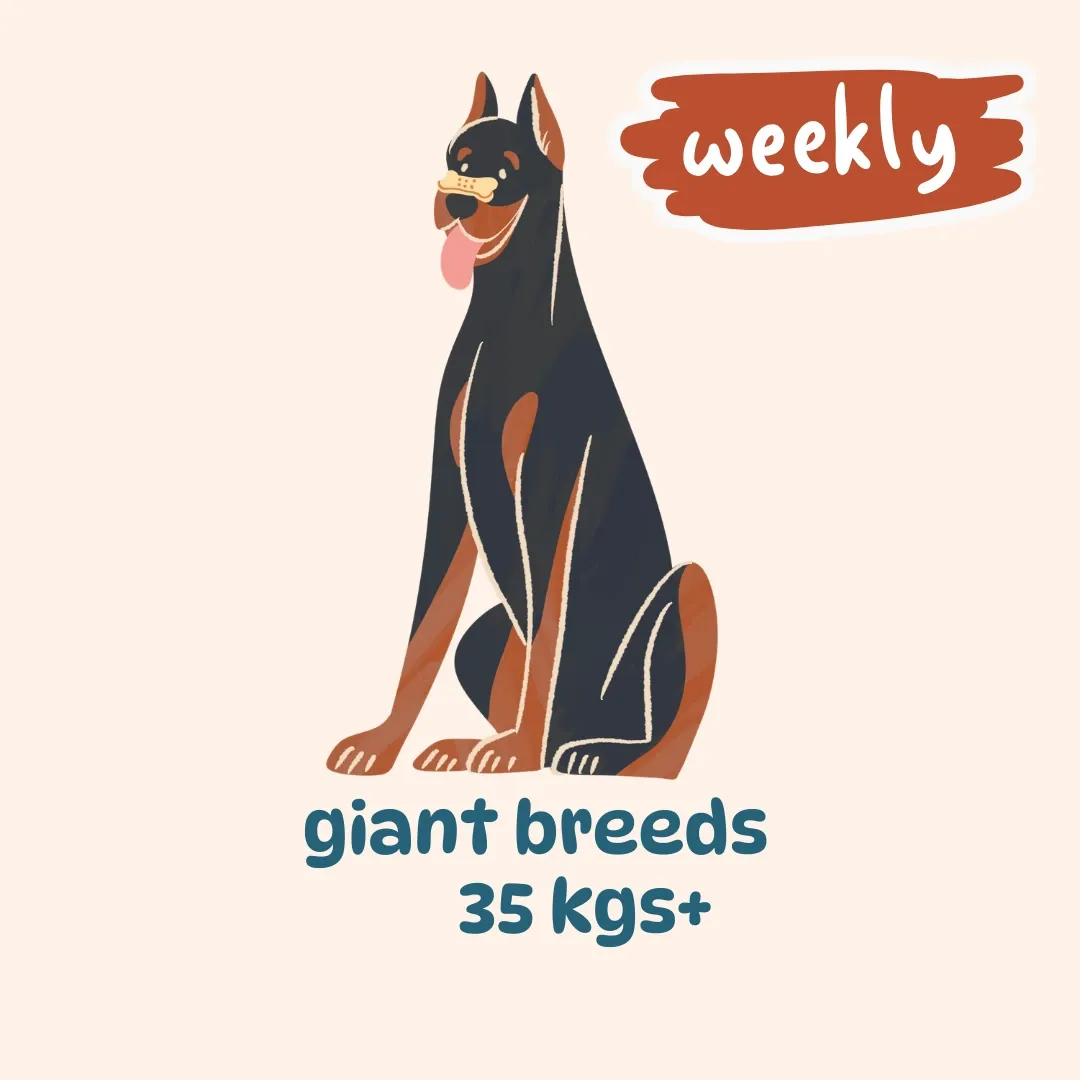 Giant breed weekly plans (500 gm packs) (7 meals: 3 (Egg & Veggies)+ 2 (Chicken, Liver & Veggies) + 2 (Chicken, Fish & Veggies), 7 packs, Not for now)