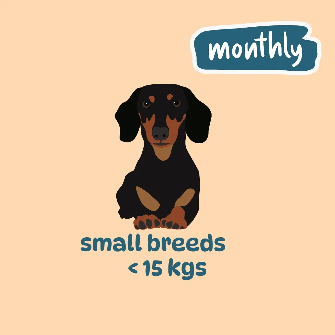 Small breed monthly plans (200gm packs) (7 meals weekly: 3 (Egg & Veggies) + 2 (Chicken, Liver & Veggies) + 2 (Chicken, Fish & Veggies weekly), 7 packs, Not for now)