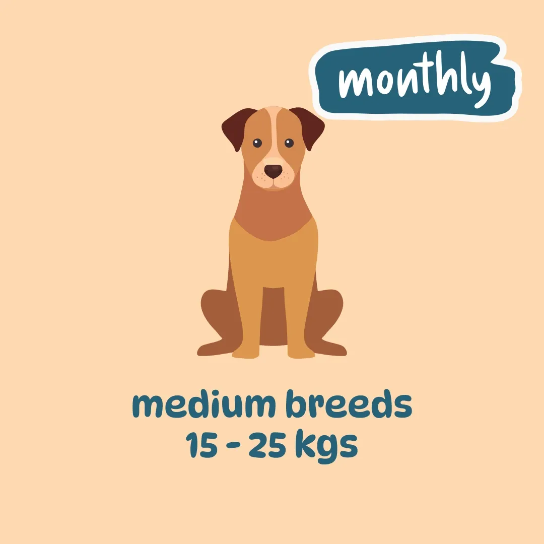 Mid-sized breed monthly plans (300 gm packs)