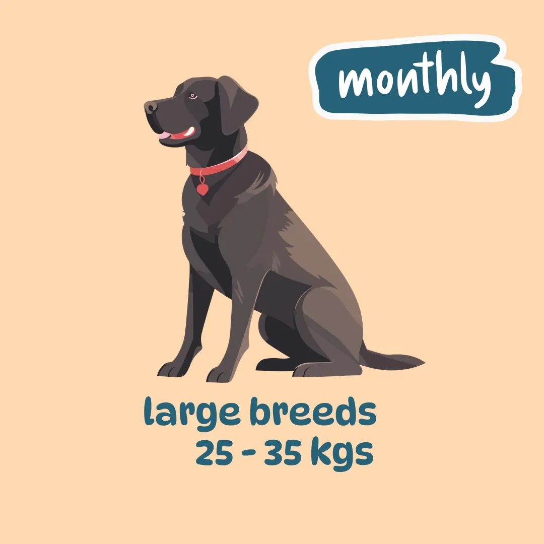 Large breed monthly plans (400 gm packs) (7 meals weekly: 3 (Egg & Veggies) + 2 (Chicken, Liver & Veggies) + 2 (Chicken, Fish & Veggies weekly), 7 packs, Not for now)