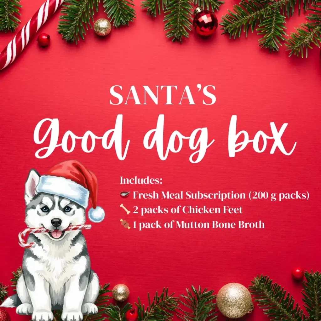 Santa’s Good Dog Box