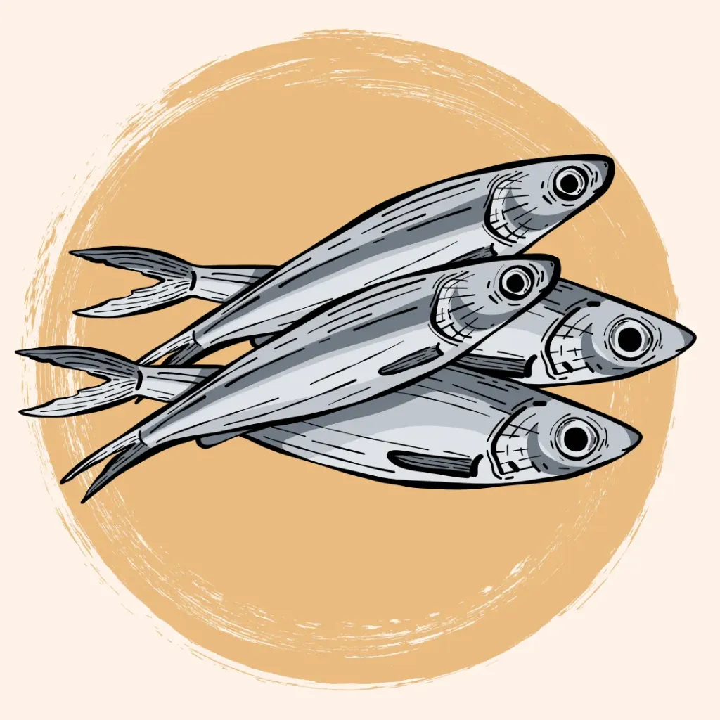 Dehydrated Anchovies (25 gms)