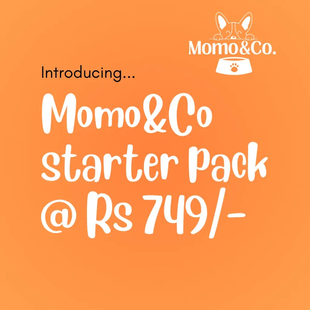 The Momo & Co. Fresh Start Pack