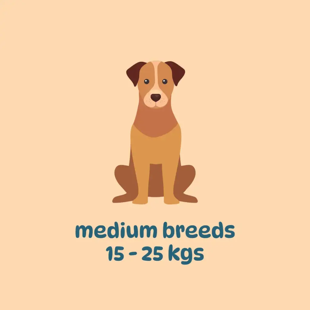 Meal subscription: mid-sized breeds (300 gm packs)