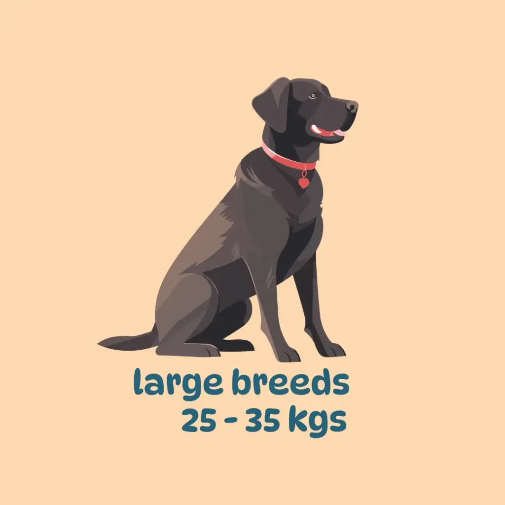 Meal subscription: large breeds (400 gm packs)