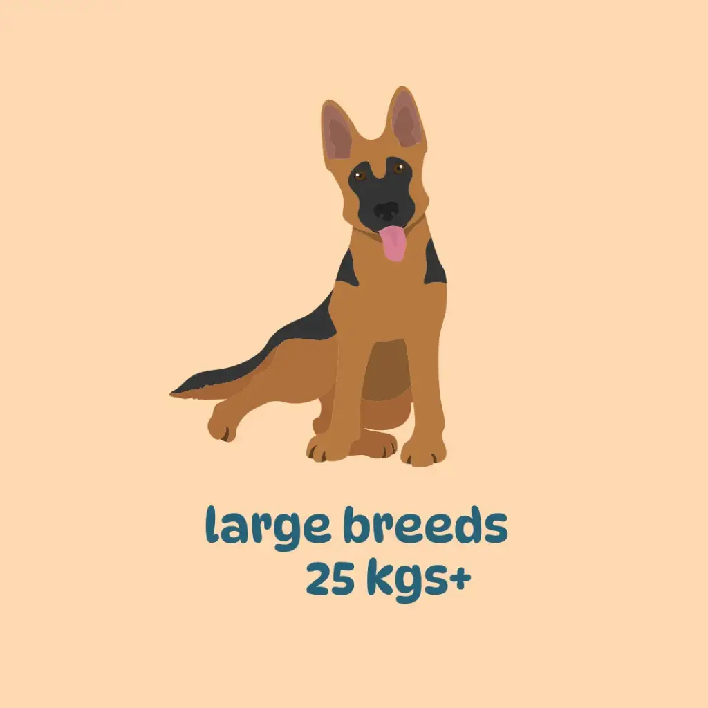 Large breed monthly plans (400 gm packs)