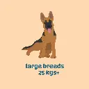 Large breed monthly plans (400 gm packs)