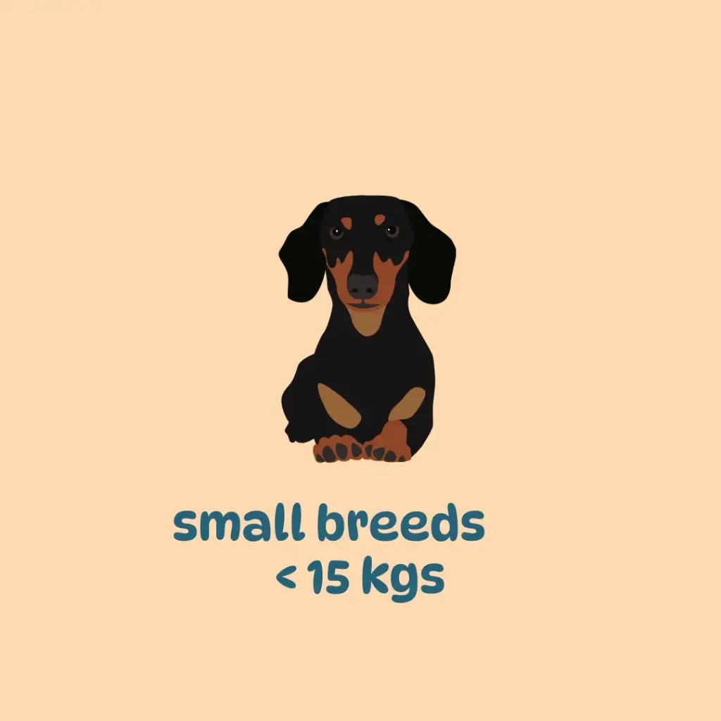 Meal subscription: small breeds (200gm packs)
