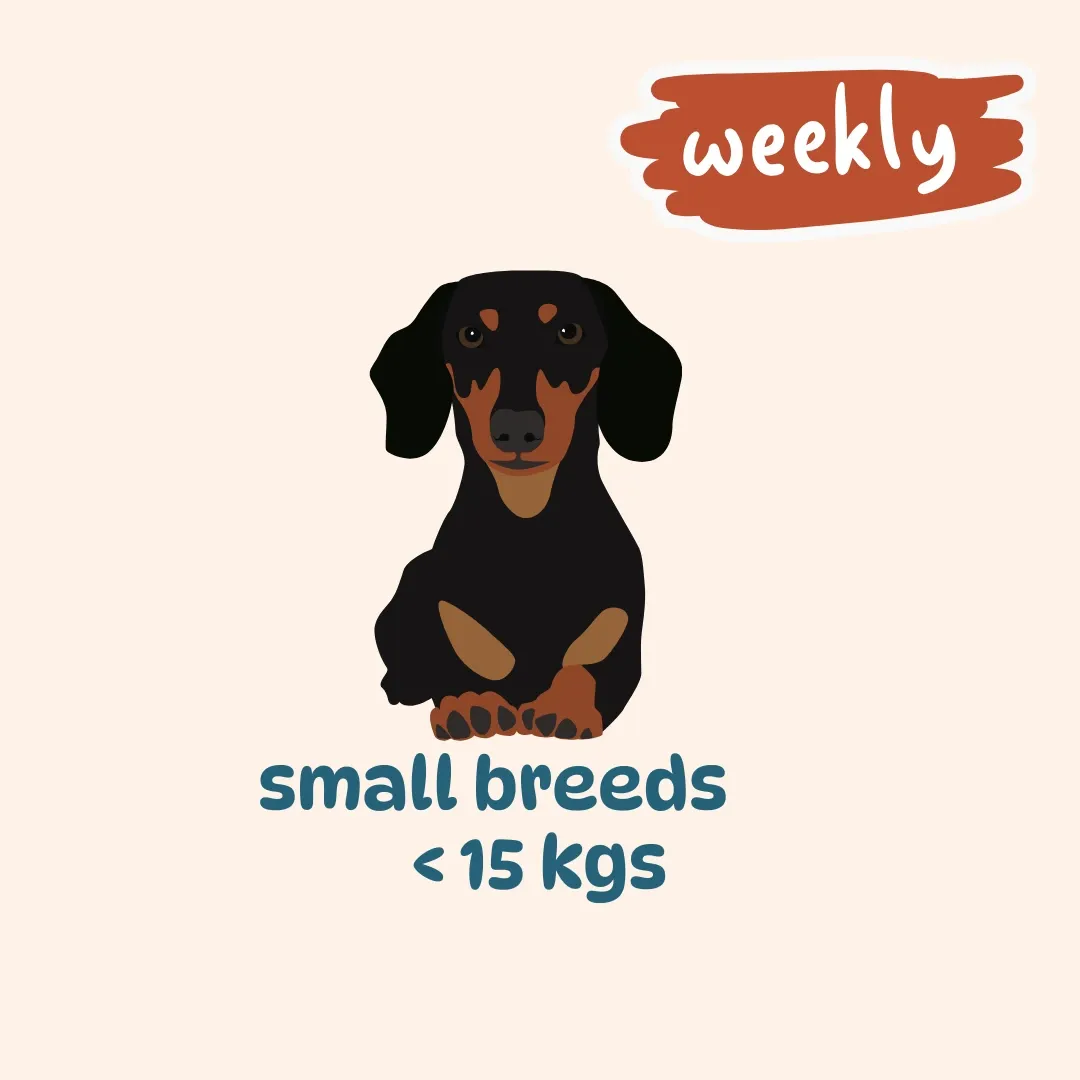 Small breed weekly plans (200gm packs) (7 meals: 3 (Egg & Veggies)+ 2 (Chicken, Liver & Veggies) + 2 (Chicken, Fish & Veggies), 7 packs, Not for now)