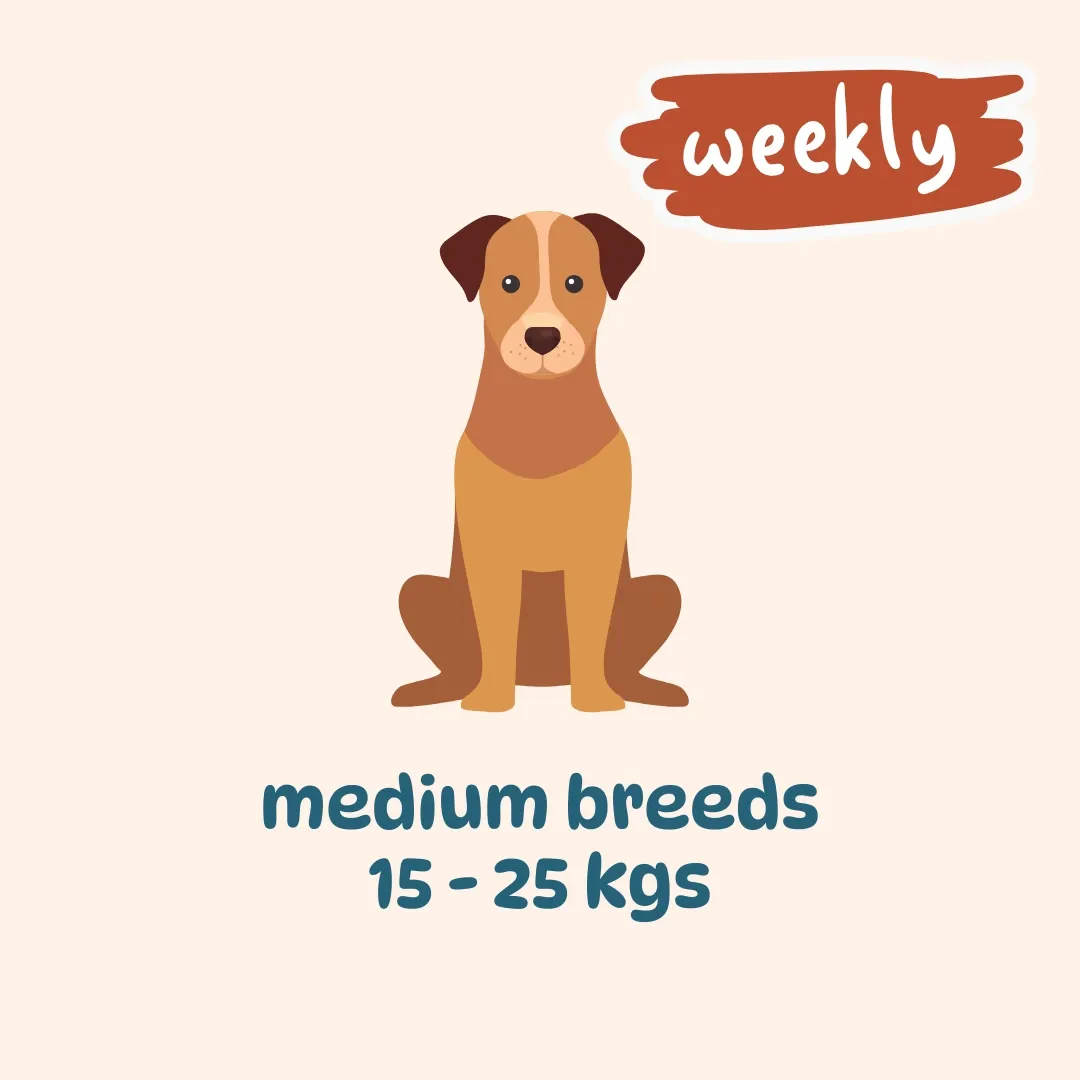 Mid-sized breed weekly plans (300 gm packs) (7 meals: 3 (Egg & Veggies)+ 2 (Chicken, Liver & Veggies) + 2 (Chicken, Fish & Veggies), 7 packs, Not for now)