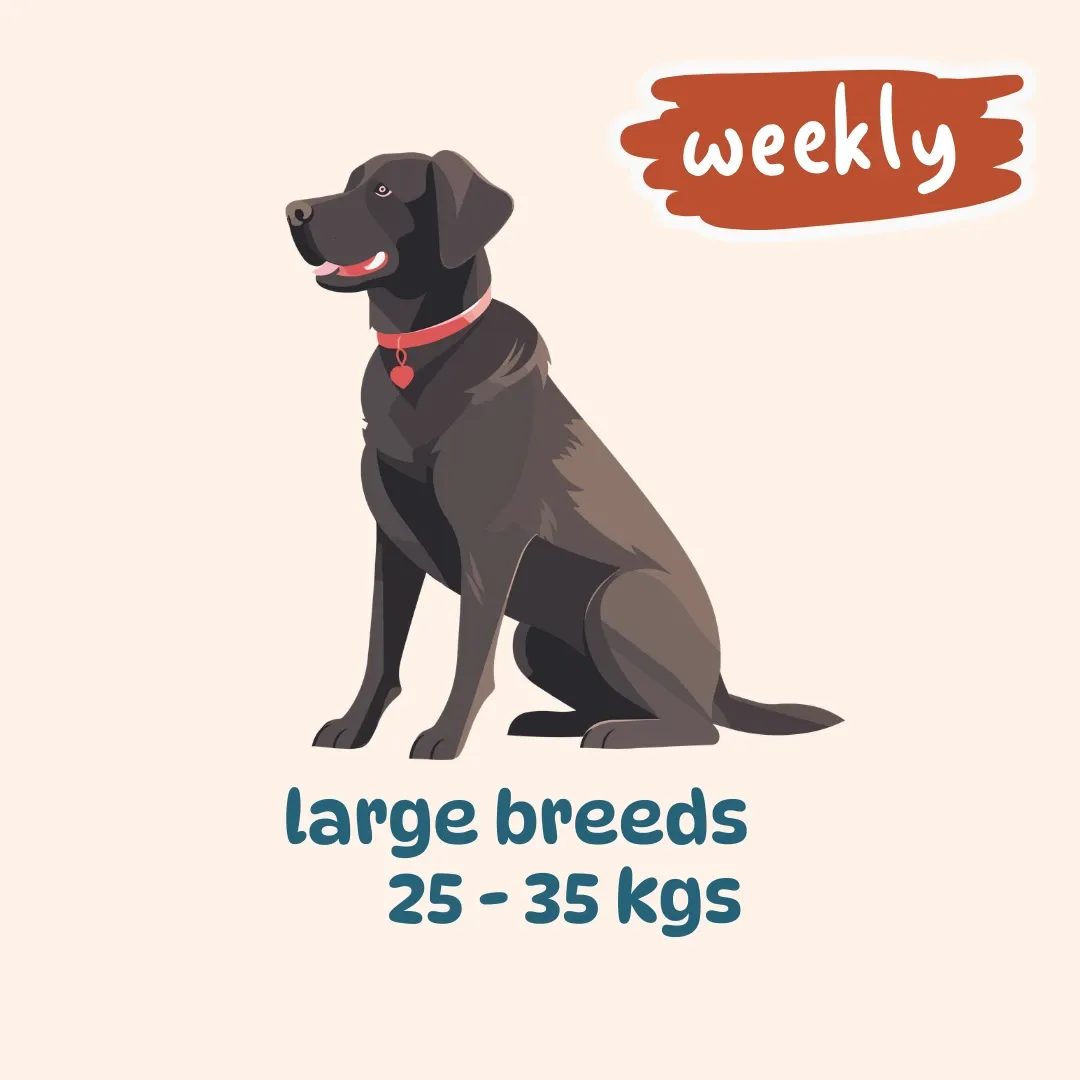 Large breed weekly plans (400 gm packs) (7 meals: 3 (Egg & Veggies)+ 2 (Chicken, Liver & Veggies) + 2 (Chicken, Fish & Veggies), 7 packs, Not for now)