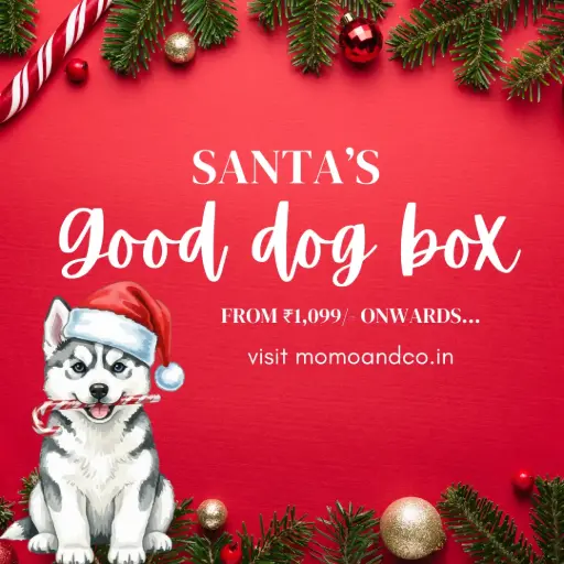 Santa’s Good Dog Box