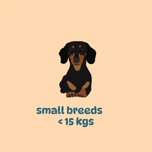 Meal subscription: small breeds (200gm packs)
