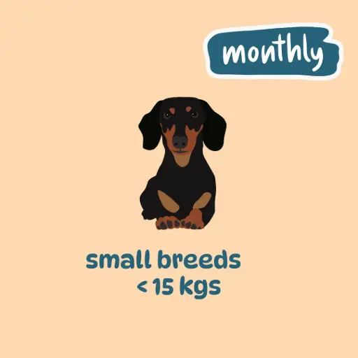 Small breed monthly plans (200gm packs)
