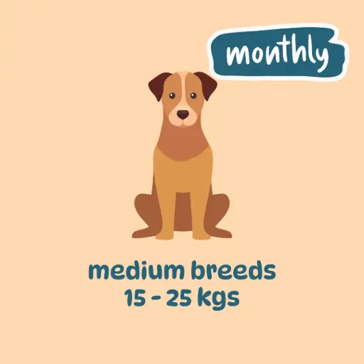 Mid-sized breed monthly plans (300 gm packs)