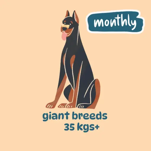 Giant breed monthly plans (500 gm packs)