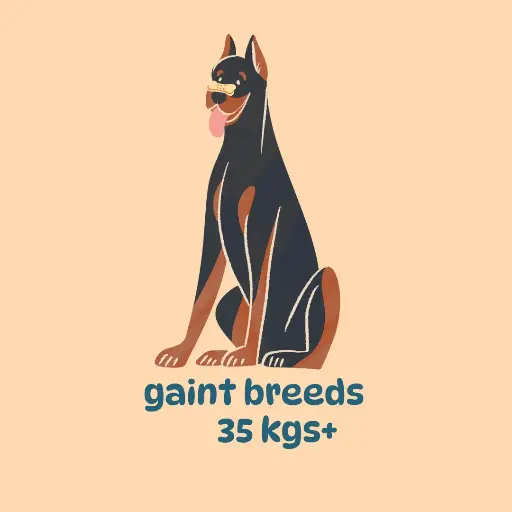 Meal subscription: giant breeds (500 gm packs)