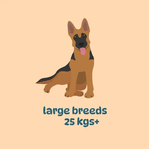 Meal subscription: large breeds (400 gm packs)