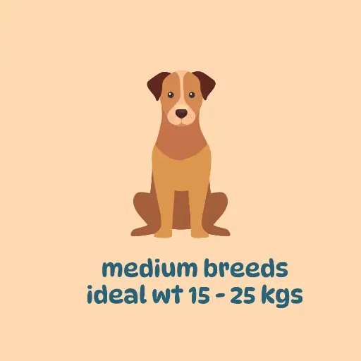 Mid-sized breeds: Weight loss plan
